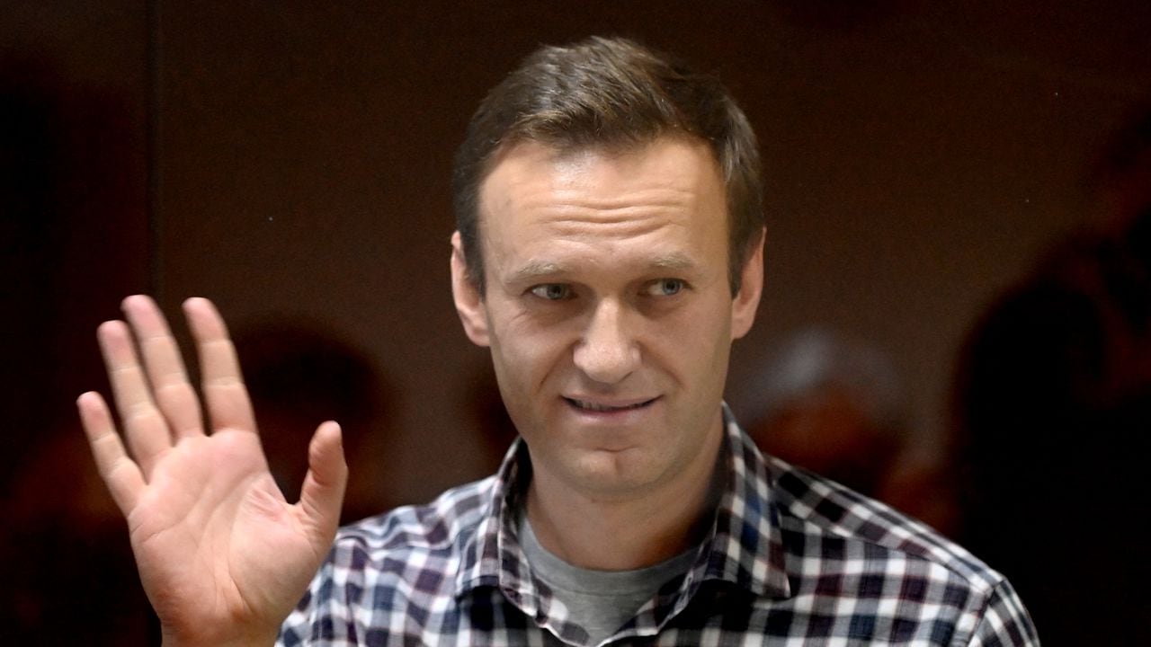 Alexei Navalni (Photo by Kirill KUDRYAVTSEV / AFP)