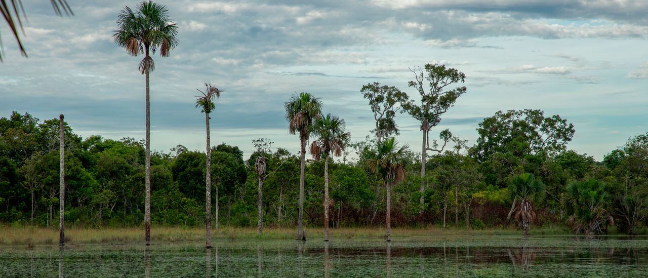 Serranía de Manacacías, ubicada en el municipio de San Martín de los Llanos, en el corazón del departamento del Meta.