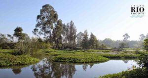 Los humedales son valiosos ecosistemas que suministran agua, mitigan los efectos del cambio climático y controlan inundaciones y deslizamientos de tierra. Foto: Fundación Humedales Bogotá. 