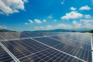 Paneles solares: ¿cómo las empresas pueden reducir costos y ser sostenibles?