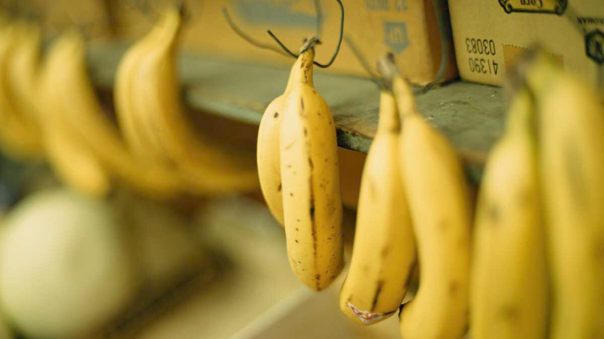 Bananas - Foto de referencia