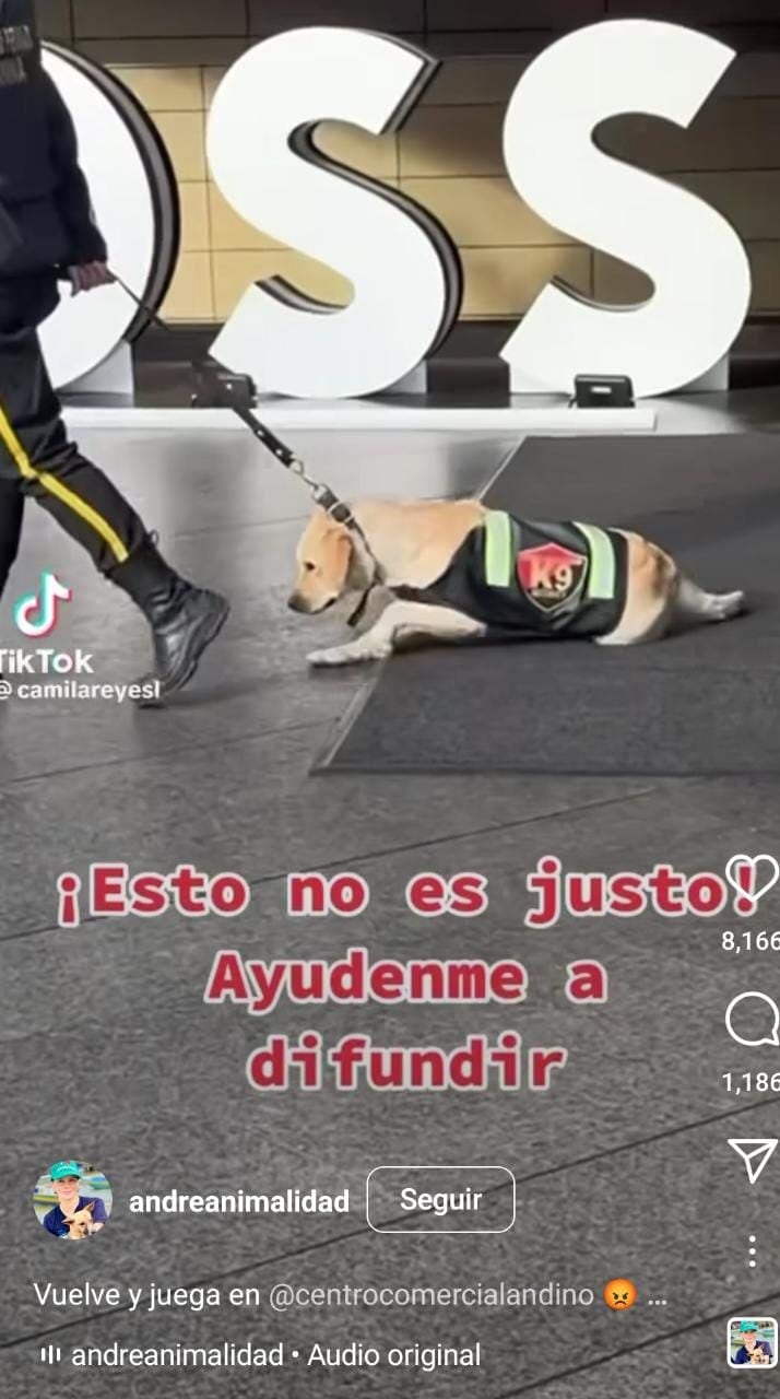 Denuncian supuesto maltrato de perro en Centro Comercial Andino