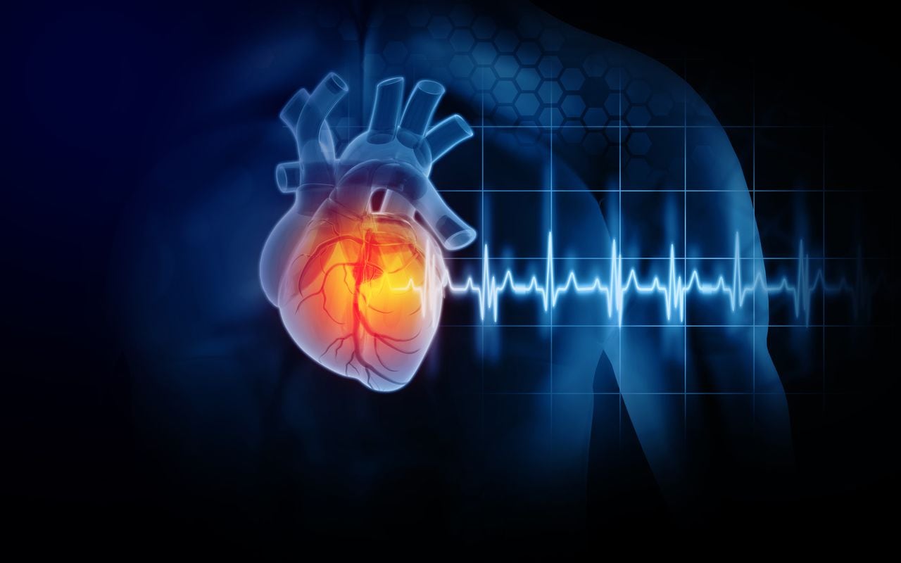 La OMS señala que cuidar el bienestar del corazón es fundamental debido a que las enfermedades cardiovasculares son una de las principales causas de muerte.