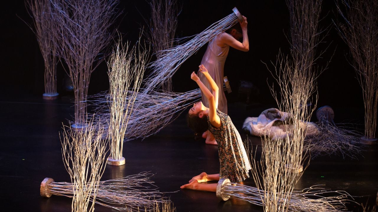 L'Explose Danza presenta 'Estela' en el Teatro Mayor Julio Mario Santo Domingo. La obra es un homenaje a la vida y a la muerte, como aquello que justifica nuestra existencia.