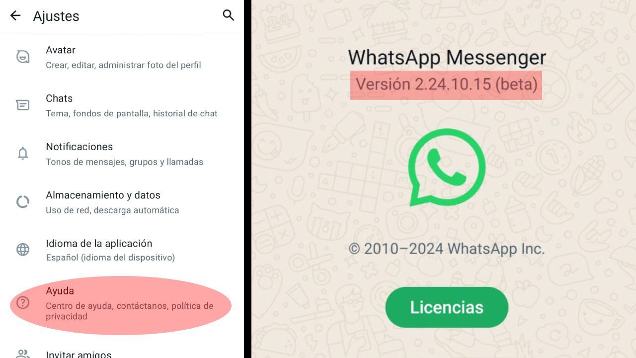 Tener actualizado WhatsApp permite corregir problemas con la app