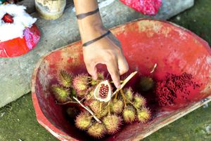 El achiote es una fruta que se consigue fácilmente en el mercado. Getty Images