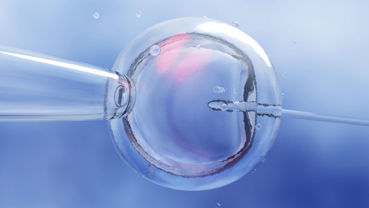 embriones congelados