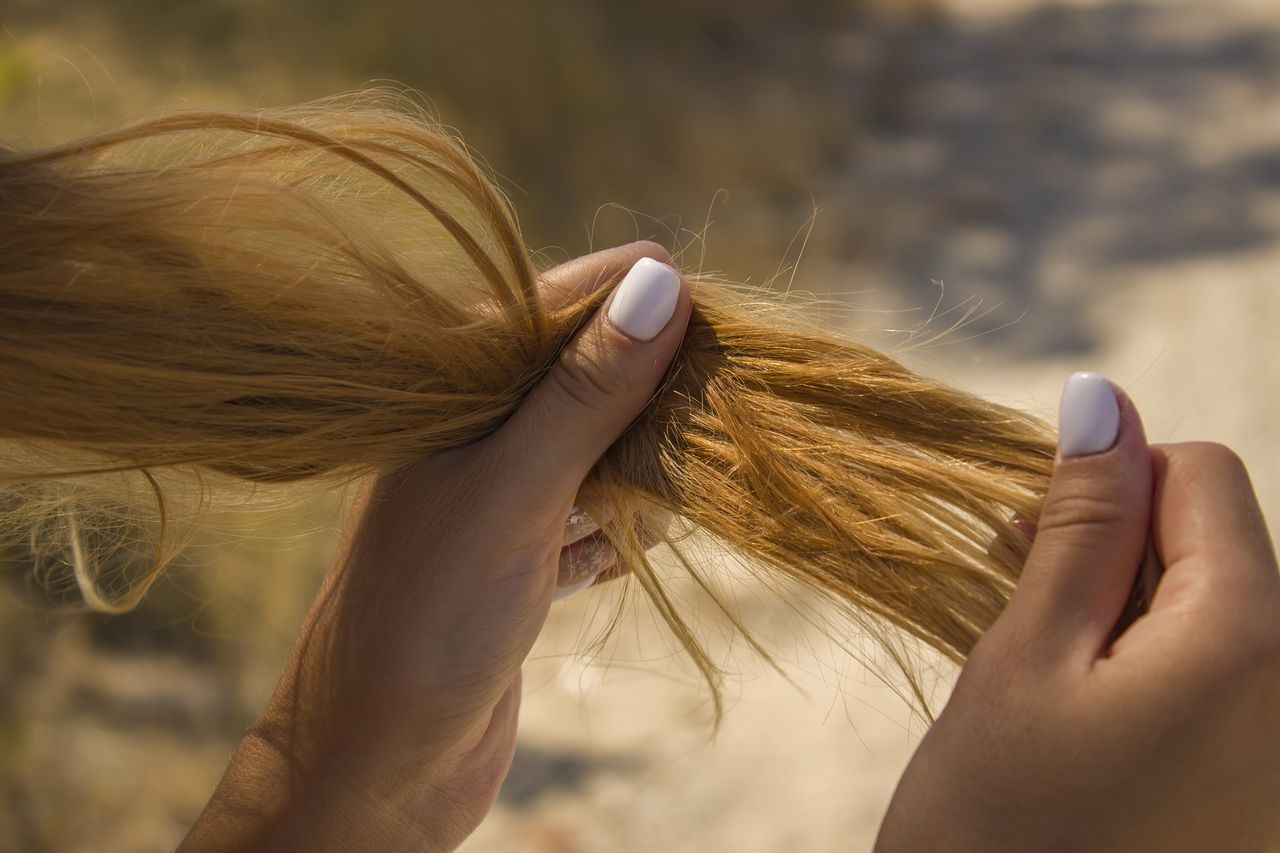 Cabello seco