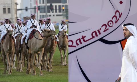 Mundial Qatar 2022, Camellos. Foto: AP/Hassan Ammar.