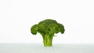 El brócoli contiene una serie de compuestos bioactivos que pueden impedir la acumulación de grasa en el hígado. Foto Gettyimages.