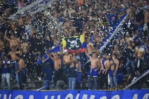 Hinchas de Millonarios en partido ante Fluminense