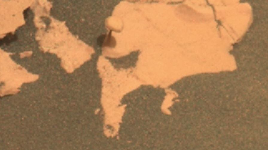 El rover Perseverance encuentra un hongo en el suelo de Marte.