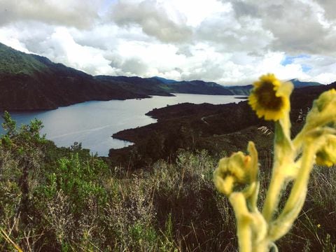 Garantizar con recursos la conservación de los páramos, la clave de Bogotá para hacerle frente al cambio climático