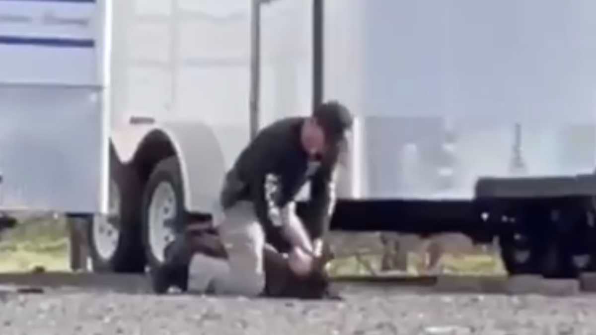 Video dejó en evidencia el violento ataque de un policía a su perro en EE.UU.