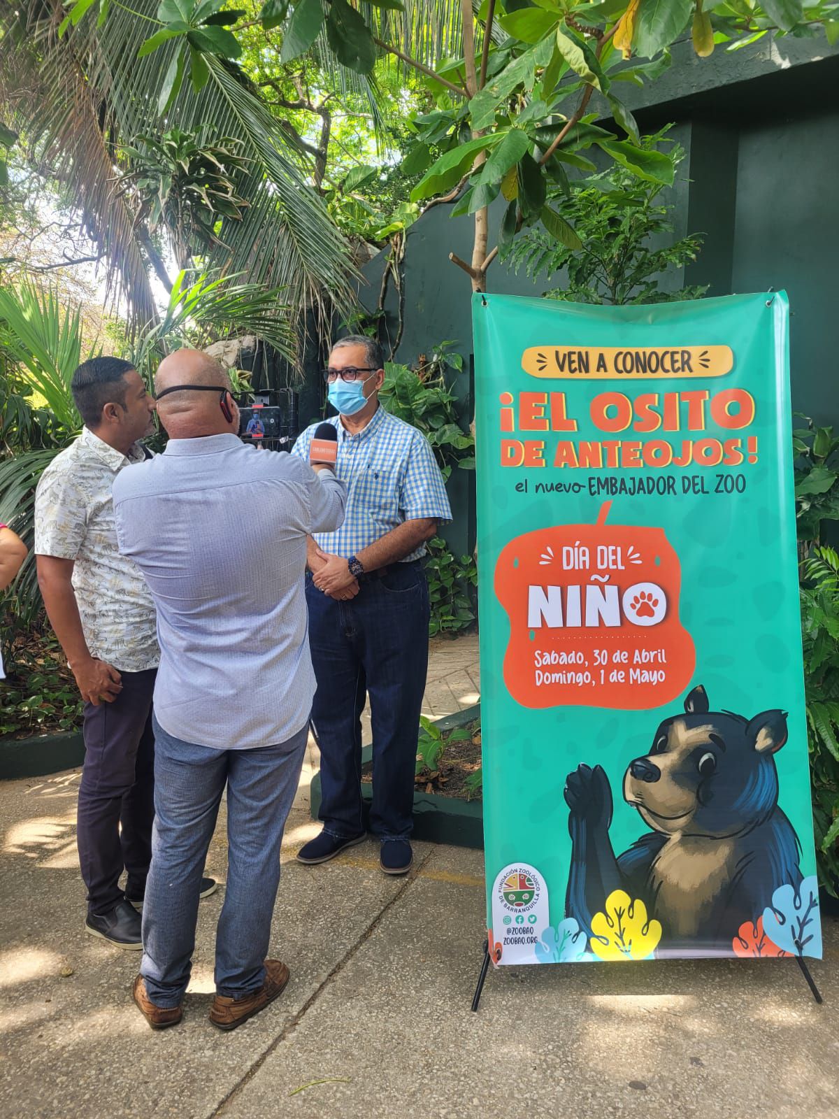 La Corporación Autónoma Regional del Sur del Bolívar - CSB entregó el osezno al Zoológico de Barranquilla, debido a su experiencia de más de 30 años en el cuidado y protección de esta especie nativa.