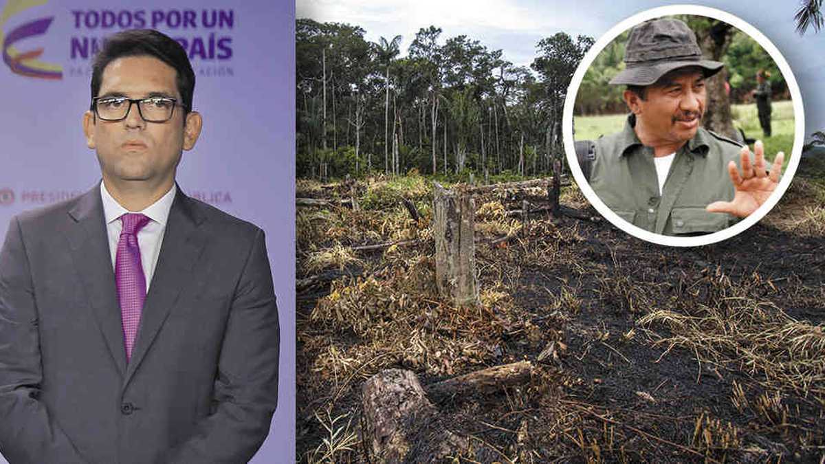El gobernador Juan Guillermo Zuluaga ha denunciado a las disidencias de Gentil Duarte. Especialmente porque estas promueven la tala y quema de bosques para reemplazarlos con coca en el deforestado sur del Meta.