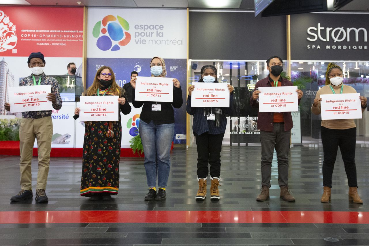 Activistas indígenas en la COP15