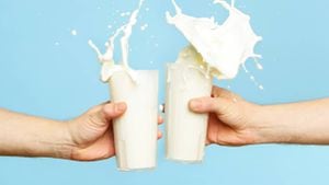 Expertos en nutrición señalan que hay productos lácteos con bajo contenido calórico. Foto: Getty images.