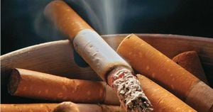 Lo dañino en el cigarrillo no es la nicotina sino su combustión ya que el humo contiene cerca de 4000 productos químicos de los cuales más de 50 producen cáncer.