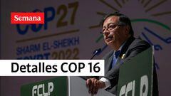 Atención: Gobierno revela la sede para la COP 16