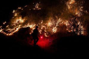 Un bombero enciende un backburn cerca de Midpines Park a lo largo de la autopista 140 mientras el Oak Fire arde cerca de Mariposa, California, EE. UU. 22 de julio de 2022. Foto REUTERS/Tracy Barbutes IMÁGENES TPX DEL DÍA