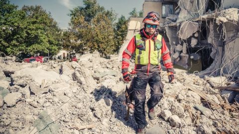 Guy Carpenter, líder mundial en gestión de riesgos complejos, ha desarrollado herramientas de tecnología específicas para medir y gestionar el impacto de catástrofes naturales.