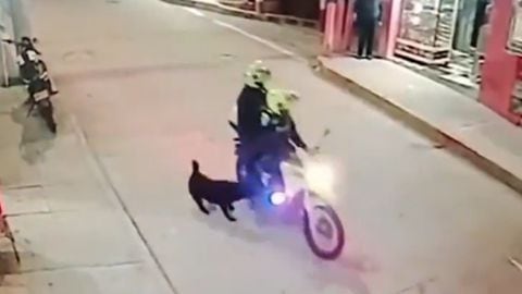 Las escenas de perros persiguiendo motociclistas son comunes en todo el mundo. Sin embargo, no se justifica la violenta reacción contra el animal.