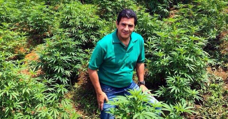 Jorge Iván Ospina ha sido un acérrimo defensor de la legalización del uso del cannabis.