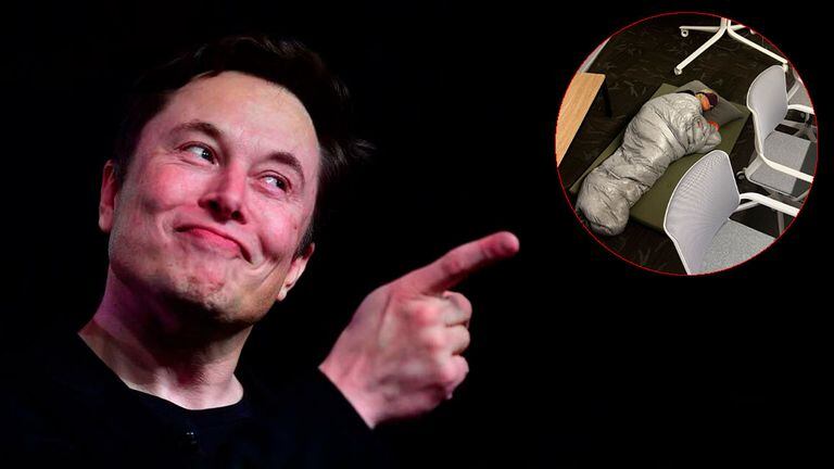 Elon Musk despide a la creadora de Twitter Blue, pese a su compromiso con la marca.