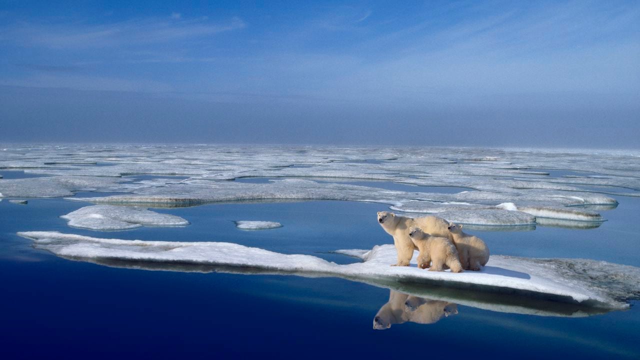 Compuesto digital. Alaska, Mar de Beaufort, Océano Ártico, marzo.
