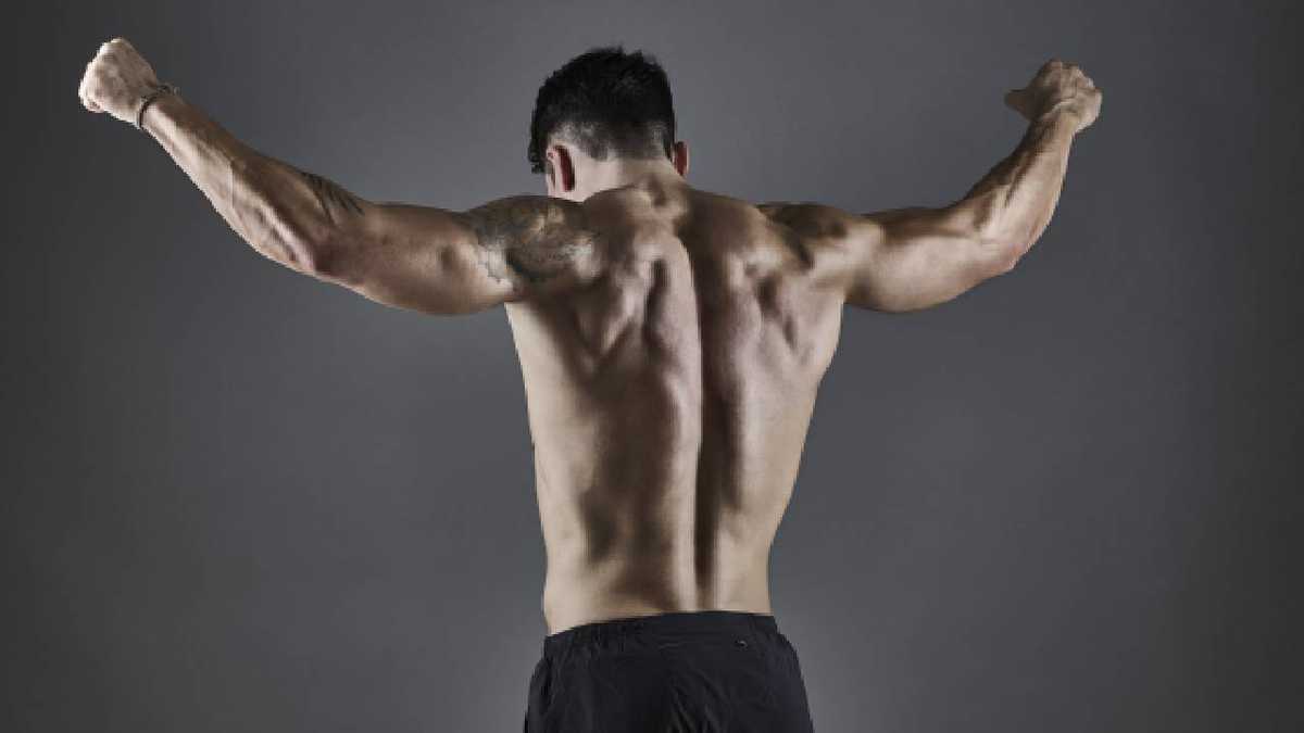 It is important to note that the back muscles support the spine.  Photo: Getty Images