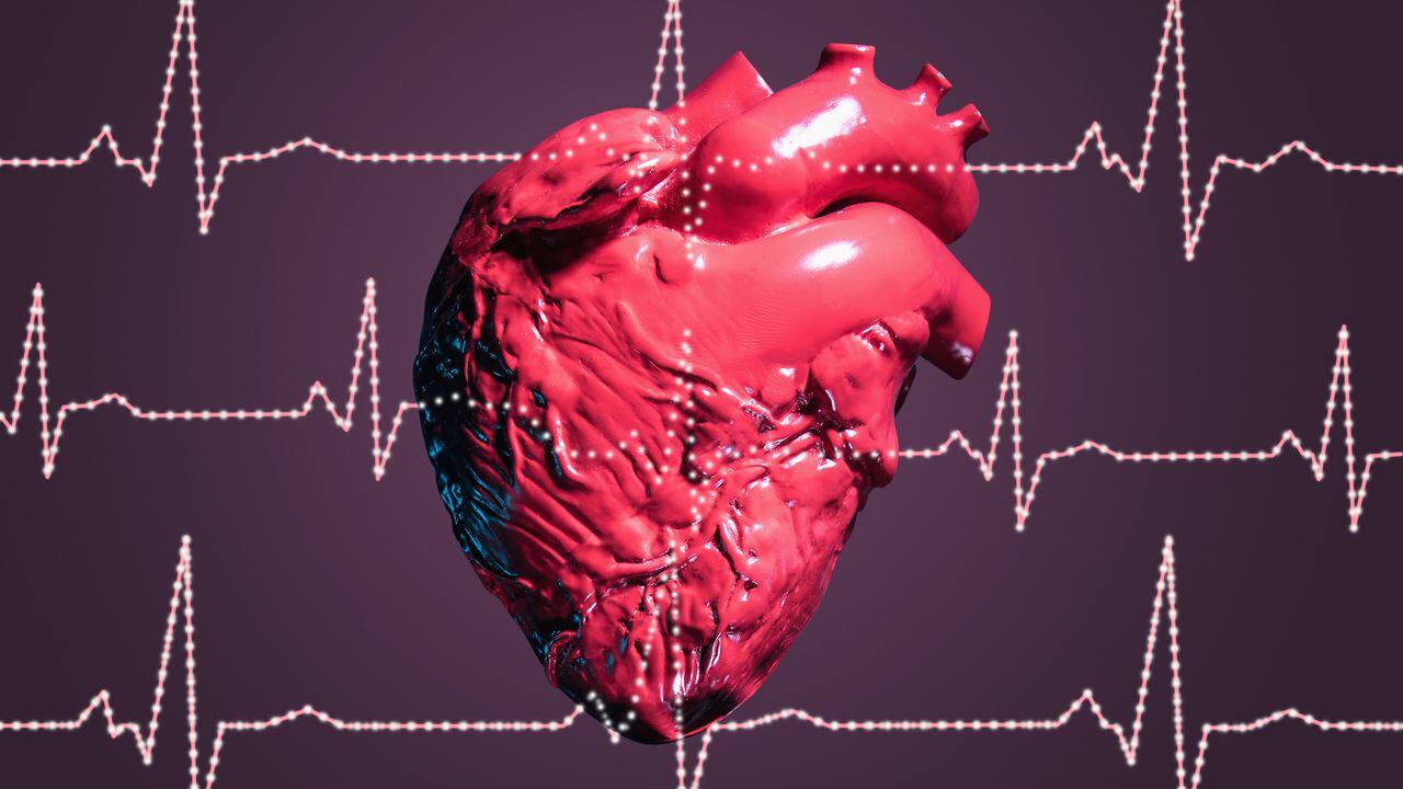 Model of human heart behind illustrated ECG traces, studio shot