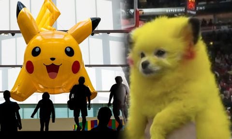Polémica despertó en Estados Unidos el caso de un perro pintado como Pokemón