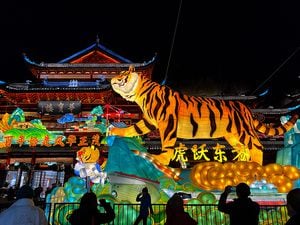 SHANGHAI, CHINA - JANUARY 18: Tourists watch a light installation featuring the tiger, the Chinese zodiac animal for the upcoming lunar year, during the annual lantern show at Yuyuan Garden on January 18, 2022 in Shanghai, China. The annual lantern show at Yuyuan Garden kicks off on Tuesday in Shanghai. (Photo by VCG/VCG via Getty Images)