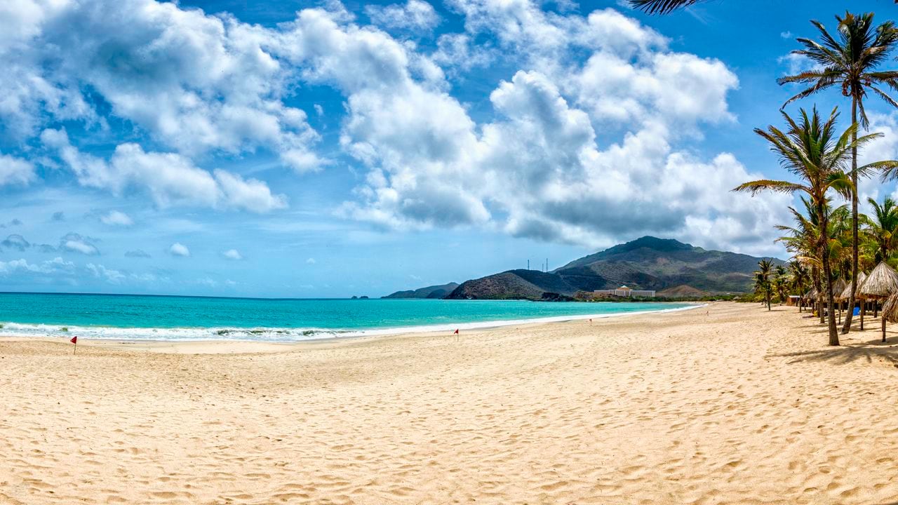 Vista panorámica de la playa tropical de arena blanca con cocoteros en el Caribe. Playa Pedro González, Isla Margarita, Venezuela