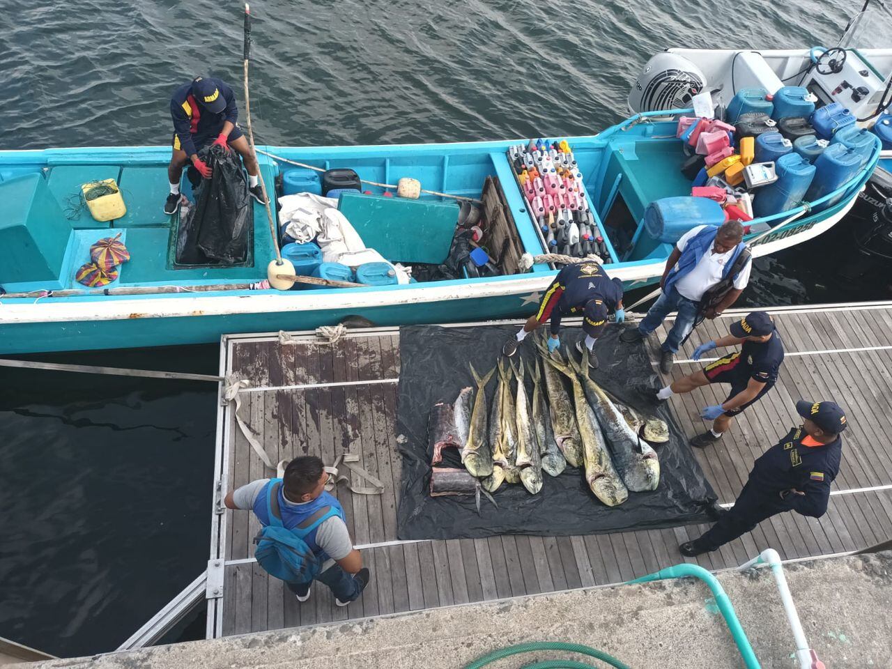 En lo corrido del año, han sido interceptadas siete lanchas con más de seis toneladas de pesca transportadas de forma ilegal en el Pacífico colombiano.