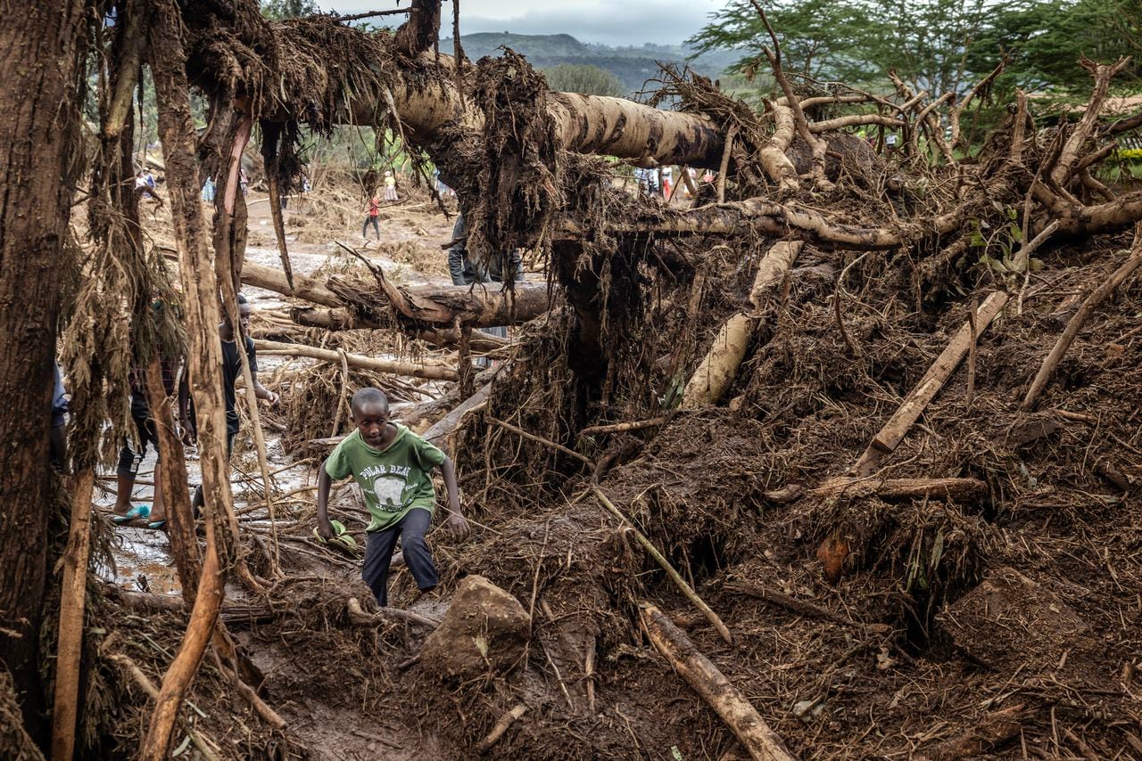 Un niño camina entre árboles destruidos y tierras dañadas en una zona muy afectada por lluvias torrenciales e inundaciones repentinas en Mai Mahiu, el 29 de abril de 2024
