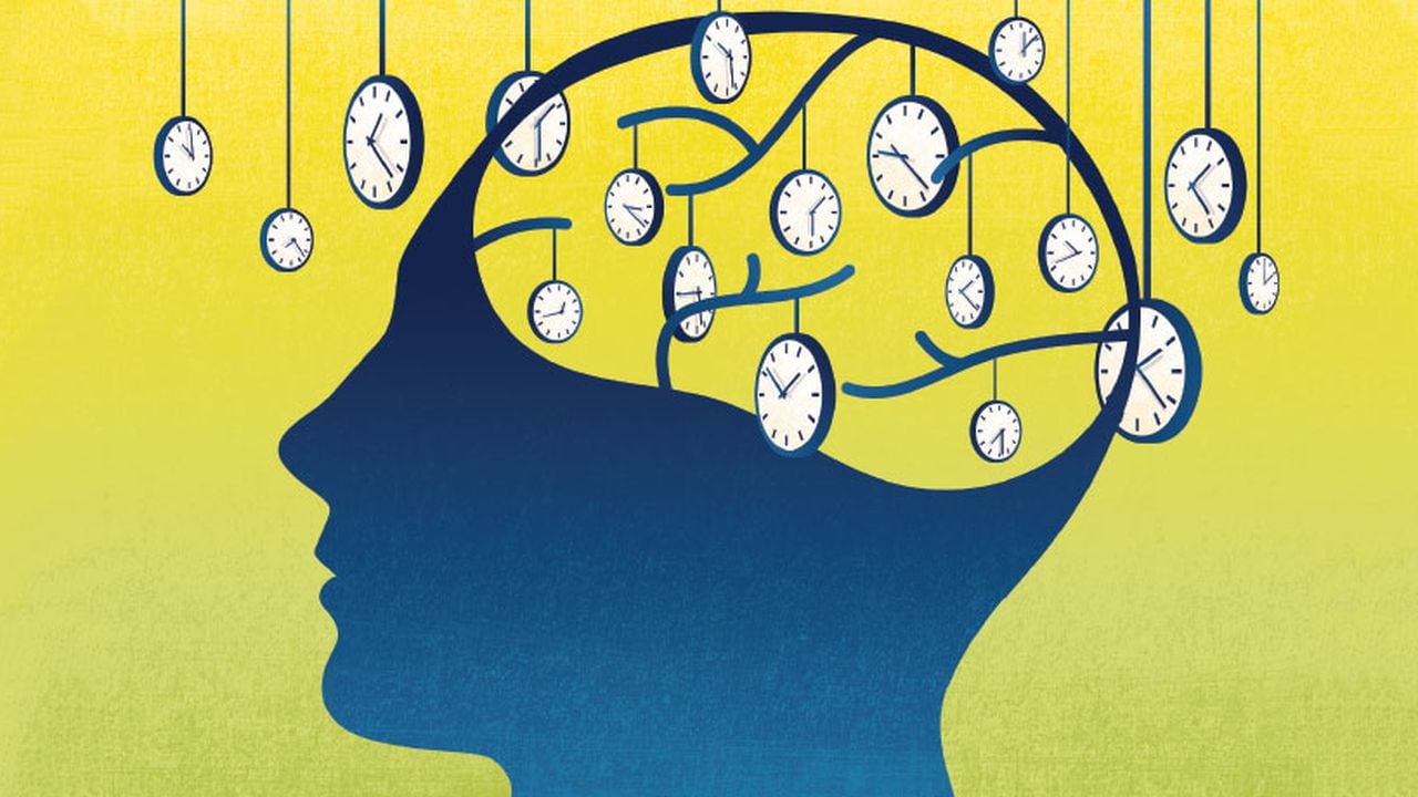 Percepción tiempo y cerebro