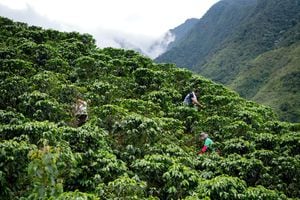 Agro colombiano. Andresr / Getty Images.