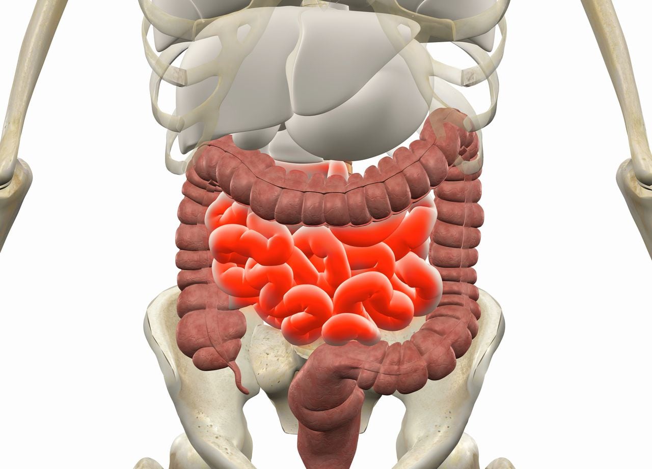 ¿Cómo tener una buena digestión y un tránsito intestinal adecuado?