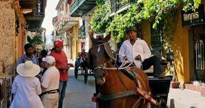 Los coches turísticos son una de las actividades más tradicionales de Cartagena, pero, de igual forma, una de las labores más cuestionadas en la actualidad por el uso de caballos. Foto: Asociación Cartagenera de Cocheros - Colombia hoy. 