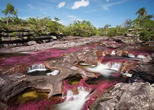 El segundo semestre del año es el mejor momento para visitar Caño Cristales, pues el cauce del río crece y las plantas que le dan color agua resplandecen.