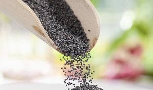 La semilla de amapola es un alimento que trae grandes beneficios para el organismo