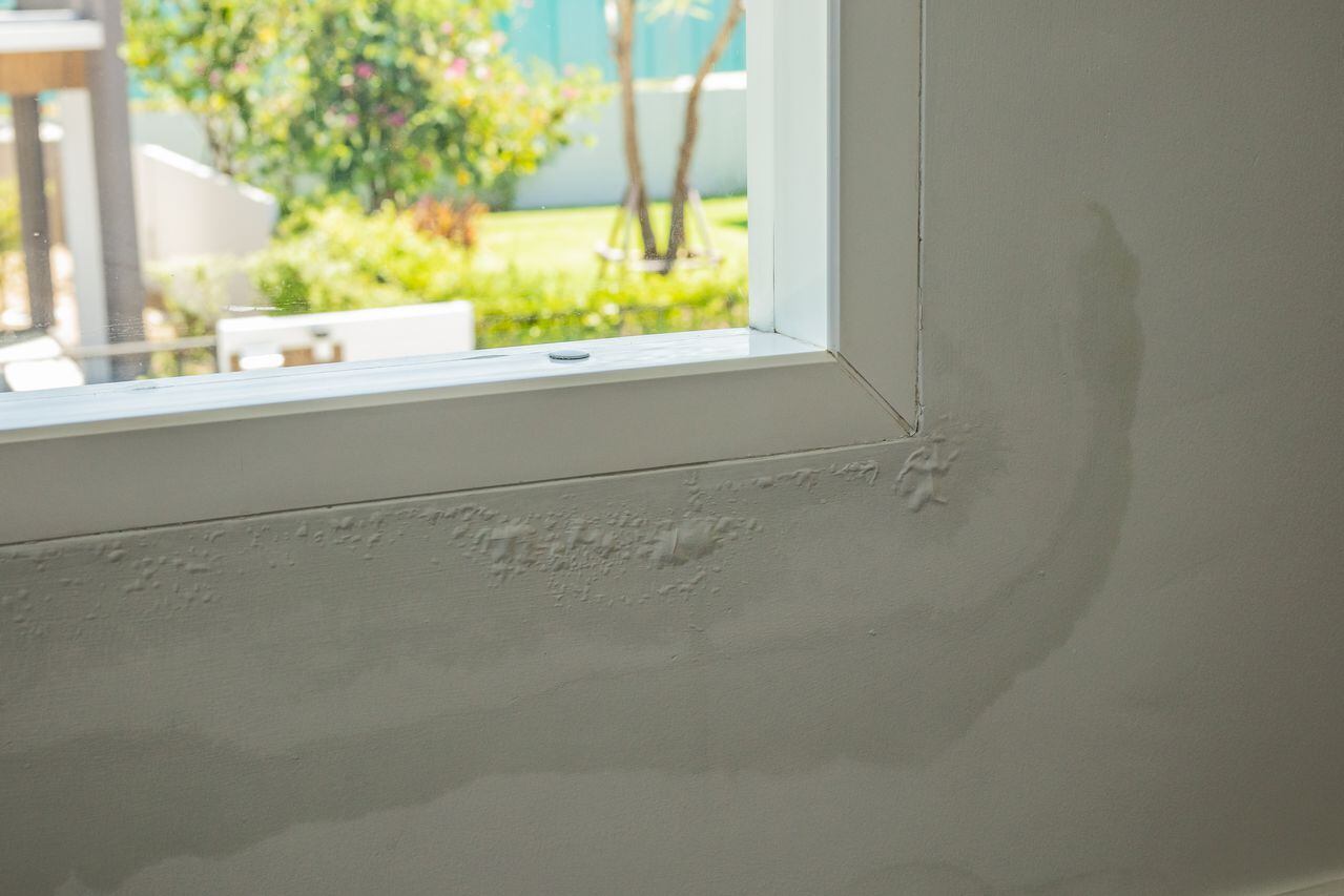 Cómo se quita la humedad de las paredes?