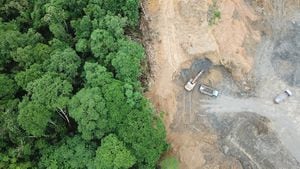 Inicio sesión. Vista aérea de drones del problema ambiental de la deforestación en Borneo
