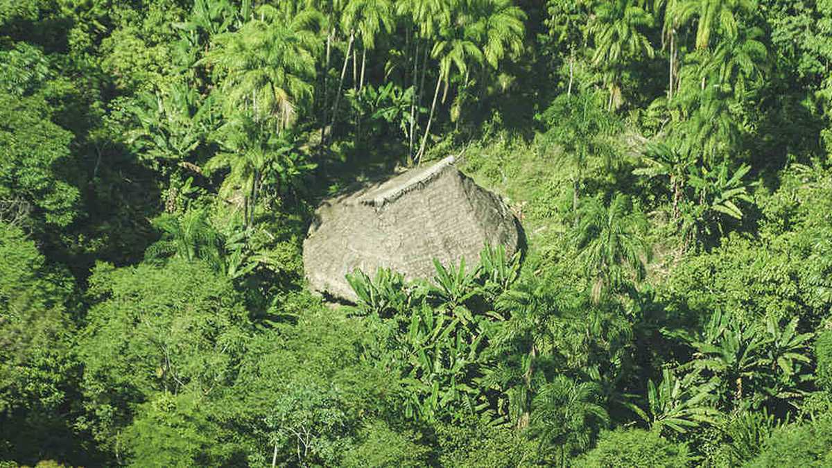 Los aislados de la Amazonia colombiana viven en malocas rodeadas de verde, semirrectangulares y redondeadas en las puntas. Fotos: CRISTÓBAL VON ROTHKIRCH – ACT - PNN