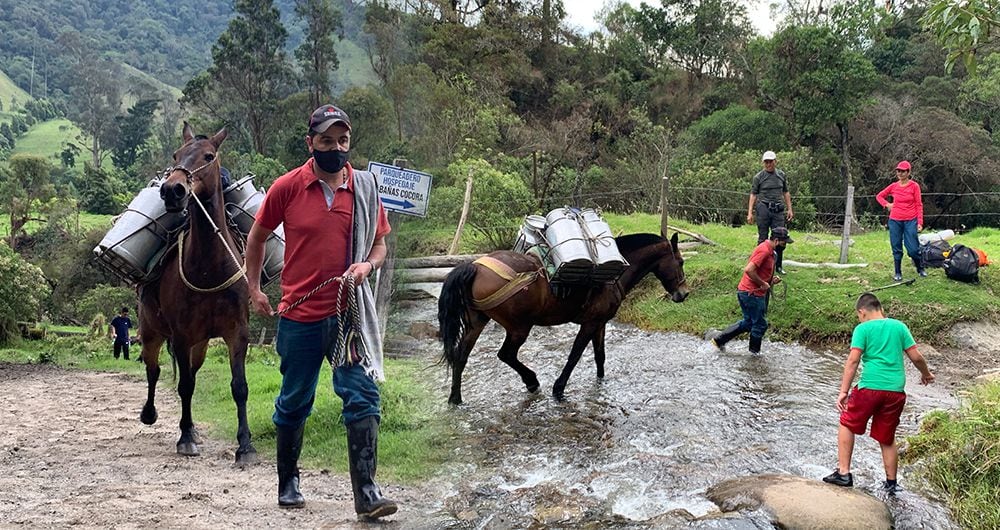 Los campesinos de Salento deben recorrer varias horas adicionales de camino por las montañas, para evitar los peajes ilegales instalados por privados en el valle del Cocora.