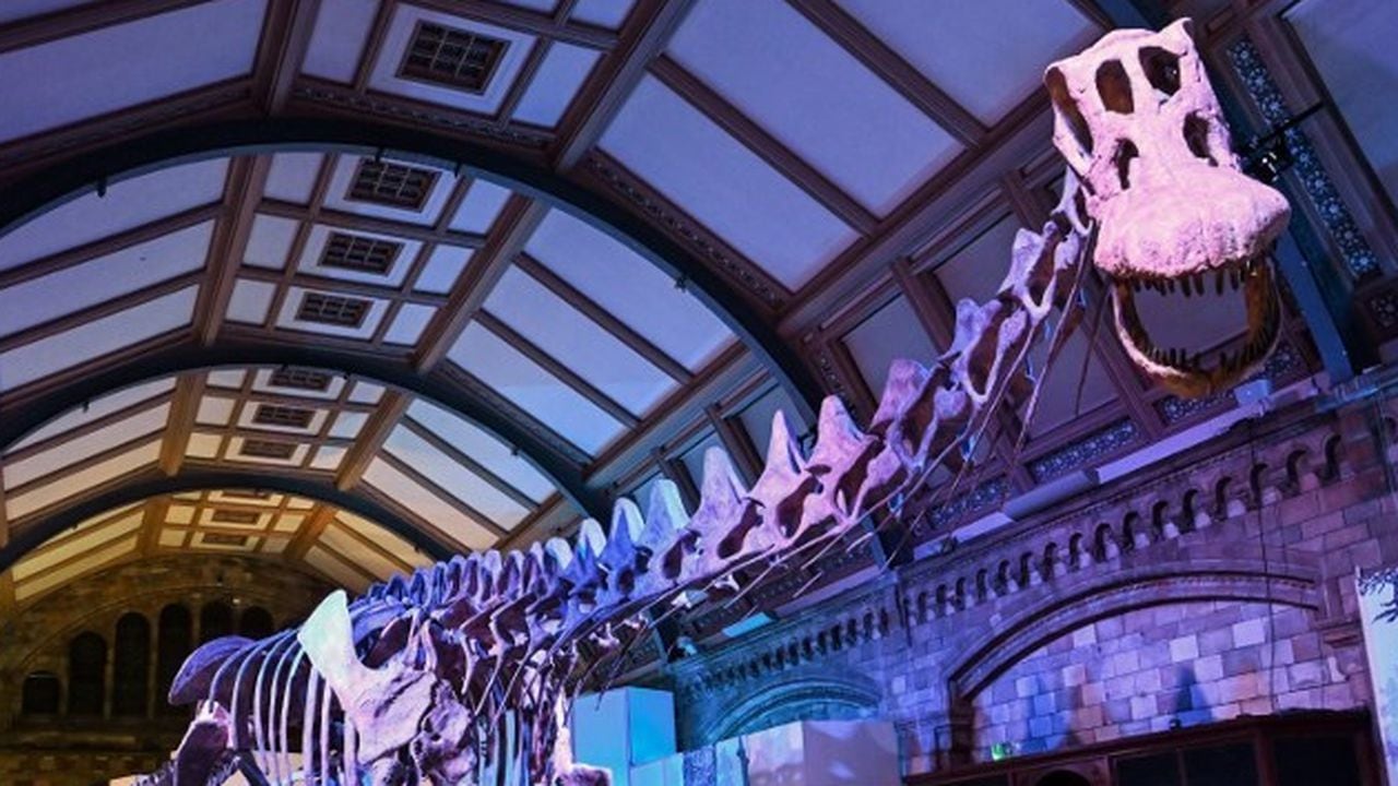Réplica de un dinosaurio estará en Museo de Londres