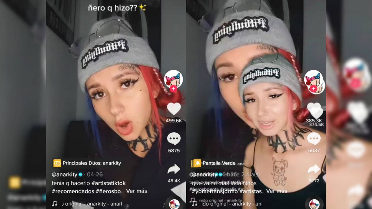 Vídeo viral en TikTok tras la parodia de la canción Saoko de Rosalía