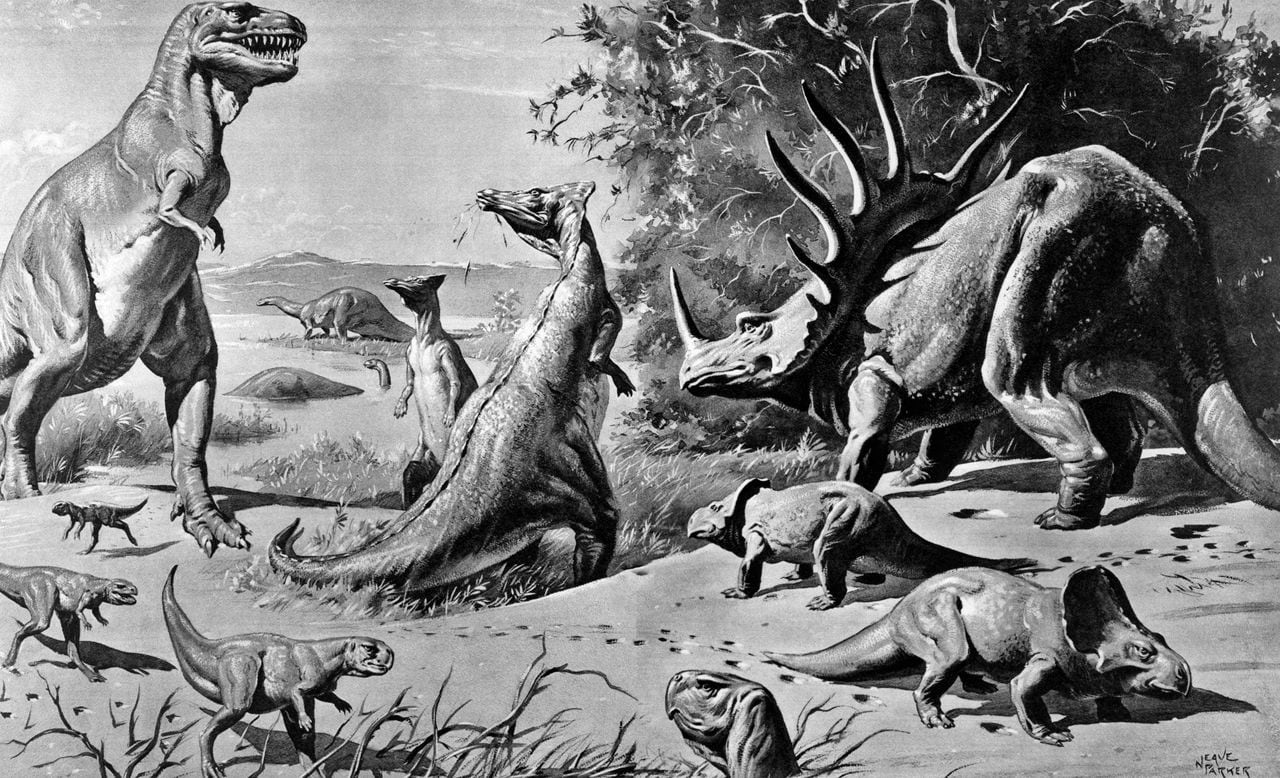Varios dinosaurios y reptiles extintos hace millones de años